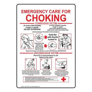 lot 8388 image: ComplianceSigns.com Emergency Care For Choking Label Decal, 14x10 inch Vinyl for Emergency Response