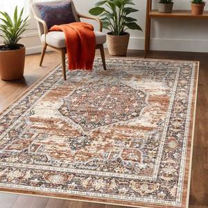 lot 16476 image: YOUFORTONG Area Rug 3x5 for Living Room Soft Ultra Thin Low Pile Mat Machine Washable Indoor Doormat Lightweight Entry Rug Anti Slip Backing Rugs for Bedroom Kitchen 3x5 Brick