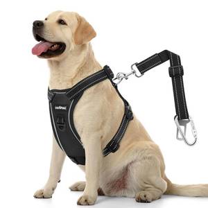 lot 8131 image: VavoPaw Dog Seat Belt Harness for Car, Dog Car Harness Adjustable Mesh Breathable & Dogs Seatbelt Safety Tether with Elastic Bungee for Small Medium Large Pets(Carbon Black, L)