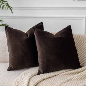 lot 12236 image: JUSPURBET Throw Pillow Covers Set of 2 Decorative Velvet Pillow Covers for Couch Sofa Bed Soft Cushion Covers Cases with Invisible Zipper for Living Room Home Decor 24x24 inch,Coffee