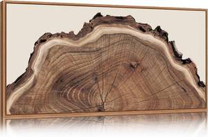 lot 141855 image: SIKERIC Framed Nature Tree Ring Wall Art, (40X20 inch) Modern Wood Stump Canvas Wall Art Set Of 1,Large Wood Tree Spiral Art Prints, Abstract Wall Painting for Living Room, Bedroom, Office