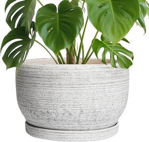 lot 141873 image: SQOWL Ceramic Flower Pots - 10 Inch Plant Pot Indoor with Drainage Hole and Saucer, Modern Ceramic Planter Outdoor, Decorative Large Round Planter, Bedroom Decor, Plant Lovers Gifts, Gray