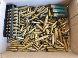 lot 73 image: Mixed Caliber Brass Shell Casings