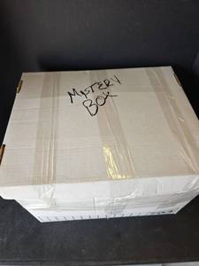 lot 488 image: Mystery Box