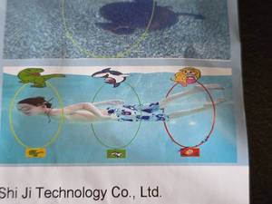 lot 496 image: NEW Underwater Swimming Pool Diving Rings Set with Animal Characters