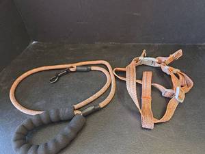 lot 578 image: New Size Medium Dog Leash and Harness Set Orange Woven Nylon