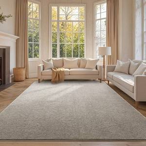 lot 8068 image: FinRe�c 6x9 Washable Area Rugs for Bedroom Living Room, Low Pile Thin Rug Solid Color, Non-Slip Carpet Indoor for Home Decor (Light Tan)