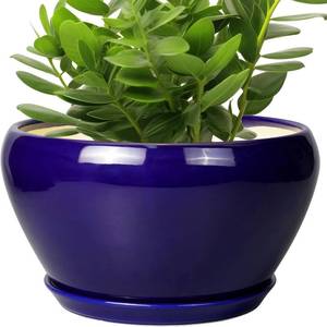 lot 6762 image: Ceramic Pot for Plants - 11-Inch Planter with Drainage Hole, Blue