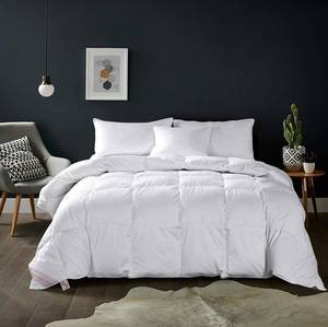 lot 6865 image: MAPLE DOWN Twin Comforter Duvet Insert - Down Alternative Quilted