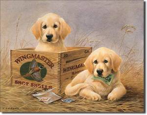 lot 6937 image: Tin Signs Kaatz -Wingmasters 1201