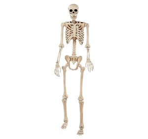 lot 1475 image: Crazy Bonez Pose-N-Stay Halloween Skeleton, 6 FT �� Life-Size, Realistic, Fully Poseable Indoor & Outdoor Decoration, Durable Weather-Resistant Spooky Prop for Yard, Porch, Haunted House