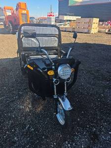 lot 64733 image: Electric Utility Cart IRET13 (Black)