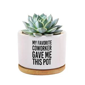 lot 2143 image: Loovelo My Favorite Coworker Gave Me This Pot Coworker Gifts Ceramic Succulent Plant Pots with Bamboo Tray Round Boss Employee Gifts Plant Lover Home Office Decor 3.5 Inch White (No Plants)