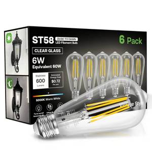 lot 6159 image: Eastiya Dusk to Dawn Light Bulbs, 6W Equivalent 60W, Cool White 5000K, E26 Base, Light Sensing, ST58 Vintage Style, 600LM, Outdoor Edison Bulbs, Automatic Light Bulbs for Porch Patio Garage, 6 Pack