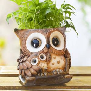 lot 11559 image: Saysmile Unique Owl Plant Pots Indoor, Cute Small Succulent Pots with Drainage Hole, Rocking Chair Planters for Outdoor Indoor Plants, Resin Flower Pot for String of Pearls, Gift Ideas for Mother