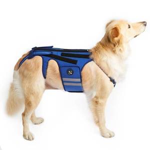 lot 16207 image: Coodeo Dog Back Brace for Dogs Arthritis, Pet Back Bracer for IVDD, Back Protector Helps Pain Relief, Surgical Recovery and Rehabilitation, Dogs Back Disease Prevention. (Blue,Medium)