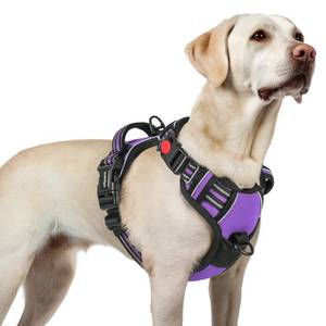 lot 2422 image: rabbitgoo Dog Harness for Large, No Pull Pet Harness with 3 Buckles, Adjustable Soft Padded Vest with Control Handle, Walking Reflective Pet Vest for Large Dogs, Purple, L