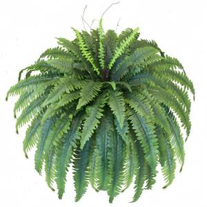 lot 9384 image: MILHAO FOREST Artificial Ferns for Outdoors & Indoors, 51in Fake Fern Large Plants with 66 Fronds, UV Resistant Faux Greenery Suitable for Entrance Planter Porch Garden Hall Home Office Decor