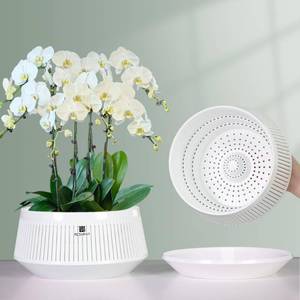 lot 15248 image: Meshpot 8 inch Orchid Pots with Holes for Repotting,Set of 2,Decorative African Violet Pots with Air-Pruning and Good Air Circulation,Plastic White Orchid Planter with Saucers