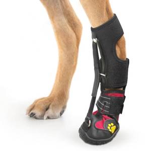 lot 6144 image: Strap-On Drop Foot Brace (No Knuckling Boot Brace) for Dogs�� Corrective Dog Shoes to Safely Lift Toes for Foot Issues, Arthritis, and improving Walking gait in Dogs,Patent Pending(L)