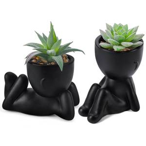 lot 16380 image: Der Rose Set of 2 Fake Plants Artificial Succulent Plants for Office Desk Accessories Black Bathroom Home Room Aesthetic Decor Indoor