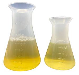 lot 6035 image: Plastic Erlenmeyer Flask 50ml 100ml Laboratory Chemical Erlenmey Students Kids Education Learning Tool