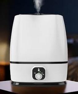 lot 5206 image: Everlasting Comfort Ultrasonic Humidifier