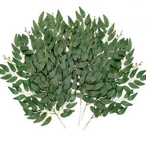 lot 1448 image: BSMYBO 24Pcs Artificial Italian Ruscus Greenery Stems,Silk Greenery Plants Spray Faux Green Leaf Garland Branches Hanging Green Spray Decoration for DIY Wedding Arch, Bouquet,Home Decor