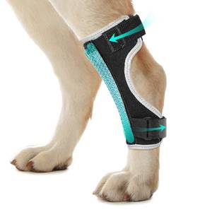 lot 2162 image: Pawfun Dog Leg Braces for Back Leg ��Hock and Ankle Joint Support Brace for Weak Rear Legs with 2 Metal Strips, Reflective Edging for Sprain, Injury, Arthritis, Wound Recovery,Black,L