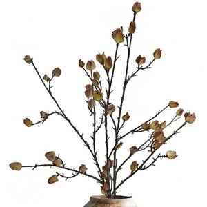 lot 5279 image: Anyumir 3Pcs Faux Berry Stems for Tall Vases, 35.4 Inch Bendable Brown Branches with Frosted Effect - Faux Branches Artificial Chinese Lantern Stems for Farmhouse Home Office Decor