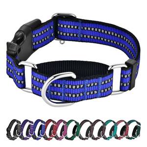 lot 6197 image: Hikiko Martingale Collar for Dogs Reflective Nylon Dog Collar with Quick Release Buckle Adjustable Training No Slip Dog Collar (Large, Blue)