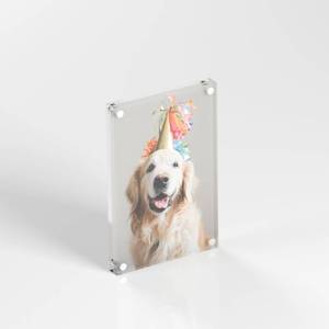 lot 10280 image: Patriot Pulse Premium Clear Acrylic Picture Frames, Magnetic, Display, Frameless, Wall Mount, Lucite 4 x 6 (Pack of 1)