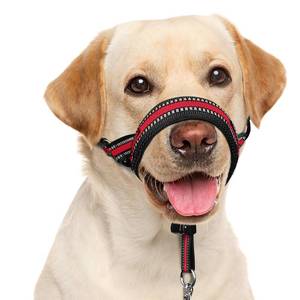 lot 2382 image: BARKLESS Soft Dog Head Collar, Patented Padded No Pull Head Halter, Training Nose Leash with Safety Link for Medium Large Dogs, Adjustable Muzzle Leash, Easy Control for Walking (L, Red)