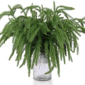 lot 3409 image: Rowfad 50 Pcs Christmas Norfolk Pine Picks, Norfolk Pine Artificial Greenery Branches DIY Crafts Faux Christmas Pine Branches for Crafts Xmas Indoor Outdoor Home Decor (50)