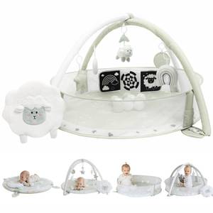 lot 5303 image: AilaAiden 6-in-1 XL Play Mat & Play Gym, Baby Gym, Baby Activity Gym, Sensory Exploration and Motor Skill Development Toys (Sage)