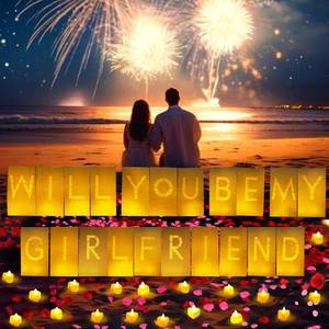 lot 7650 image: ARIKJ Will You Be My Girlfriend Light Up Letters Luminary Bags, Banner, Romantic Decoration Kit with 30PC Bright LED Candles and 2000PC Fake Rose Petals