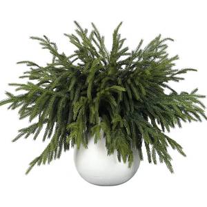 lot 15354 image: 32 Pcs Real Touch Norfolk Pine Branch -18 Artificial Christmas Green Plants Branches Faux Greenery Stem Fake Cedar Pine Picks for Vase DIY Crafts Garland Wreath Xmas Indoor Outdoor Home Decor