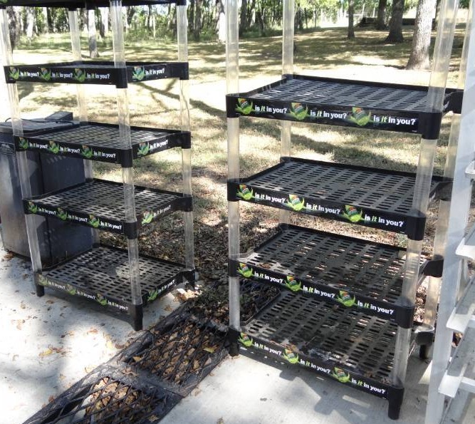 lot 5631 image: Lot of 2 Racks with 5 Shelves