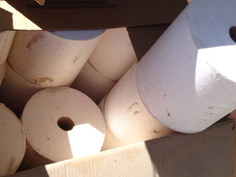 lot 5660 image: Case of Scott Paper Towel Rolls