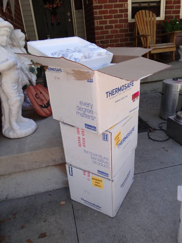 lot 5706 image: Lot of (3) Insulated Shippers W Jell Ice Packs