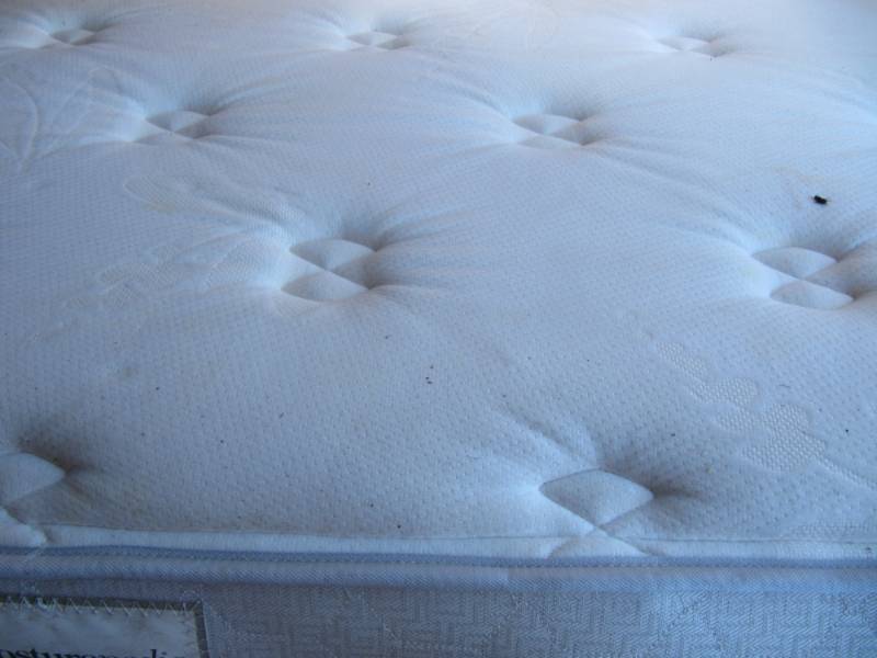 lot 319 image: Sealy Plush Kingsize mattress has 3 small light stains the size of a cup mattress is in plastic