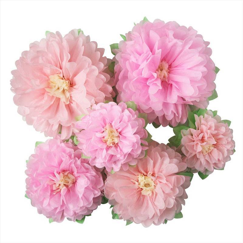 lot 44171 image: (UNUSED) Mybbshower Pinks Flowers Decoration (11-7 Assorted) 6 pcs Artificial Tissue Paper Peony Nursery Wall Bridal Shower Centerpiece Baby Girl Birthday Tea Party
