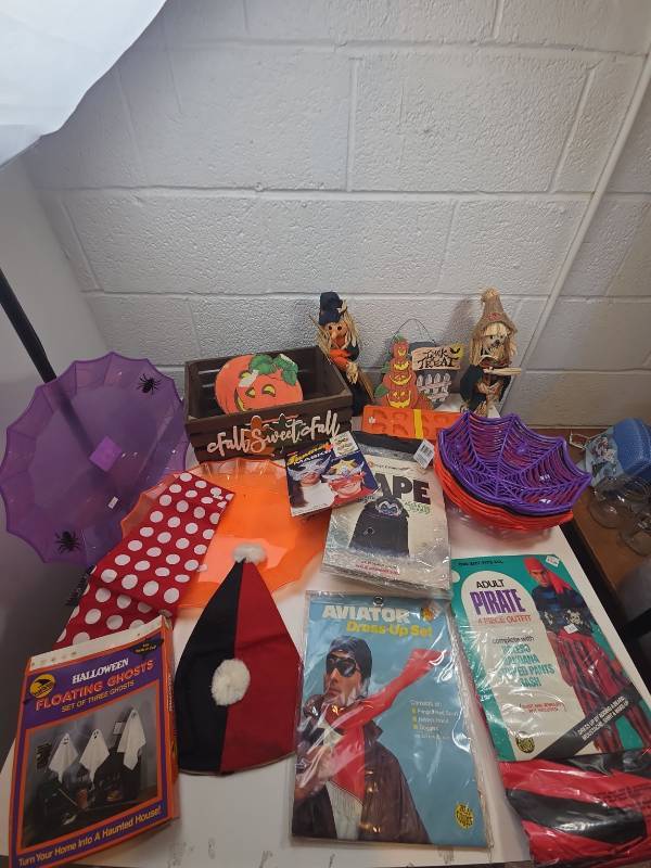 lot 116 image: Halloween Decorations and Costume Collection