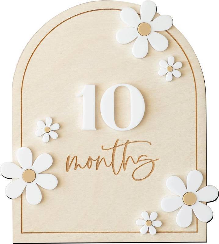 lot 24330 image: Daisy 3D Baby Monthly Milestone, Wooden Baby Milestone Signs, Monthly Milestone Wood Discs, Baby Milestone Discs (Daisy). #3 is Broken. - Retail $9