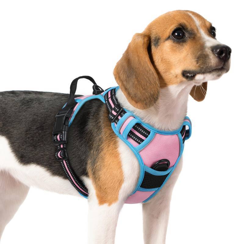 lot 53991 image: Dog Harness No Pull with 2 Leash Clips, Adjustable Soft Padded, Reflective Oxford No Choke Pet Vest with Easy Control Handle for Medium Sized Dogs, Pink & Blue, M - Retail $26