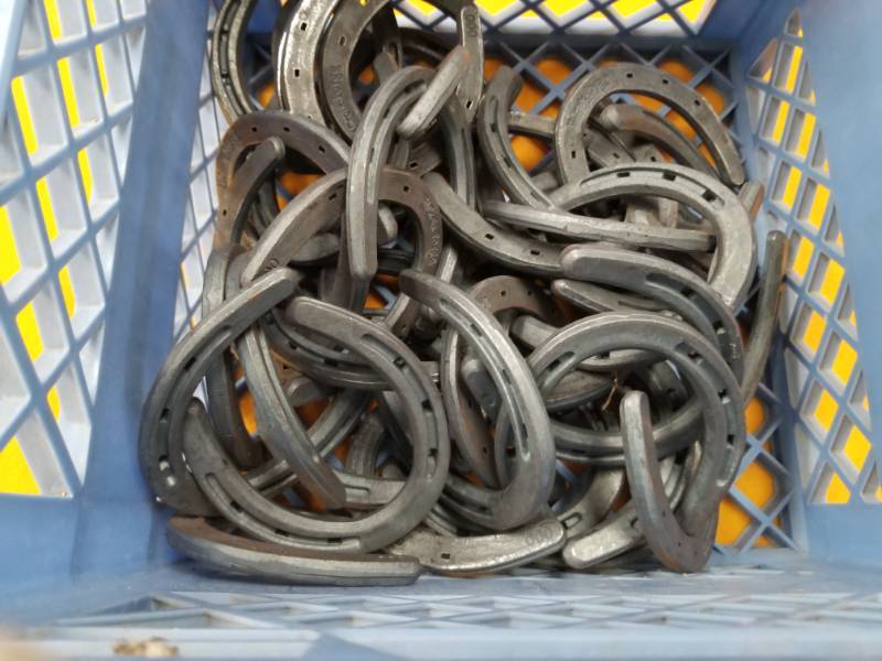 lot 4376 image: Lot of Horseshoes and Horse Haim