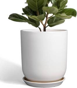 lot 29 image: $48 10-Inch Ceramic Plant Pot with Drainage Hole & Saucer, White