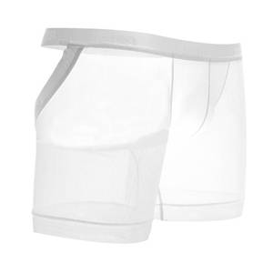 lot 3018 image: Evankin Mens Sexy Boxer Briefs Long Leg Ice silk Underwear Mesh Trunks See Through Assless Lingerie(White,L)