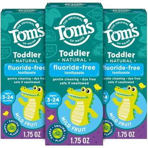 lot 3167 image: Toms of Maine Fluoride-Free Toddler Training Toothpaste, Mild Fruit, 1.75 oz. 3-Pack