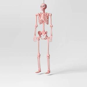 lot 14710 image: 60 Poseable Skeleton Halloween Decorative Prop Blush Pink - Hyde and EEK Boutique -